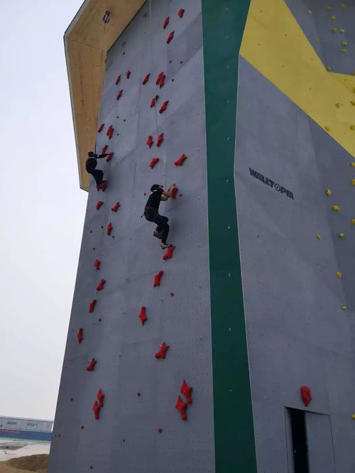 2018,這一年值得銘記的時刻