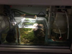 上岸清設(shè)備 福州魚(yú)友必備設(shè)備清單及養(yǎng)護(hù)建議